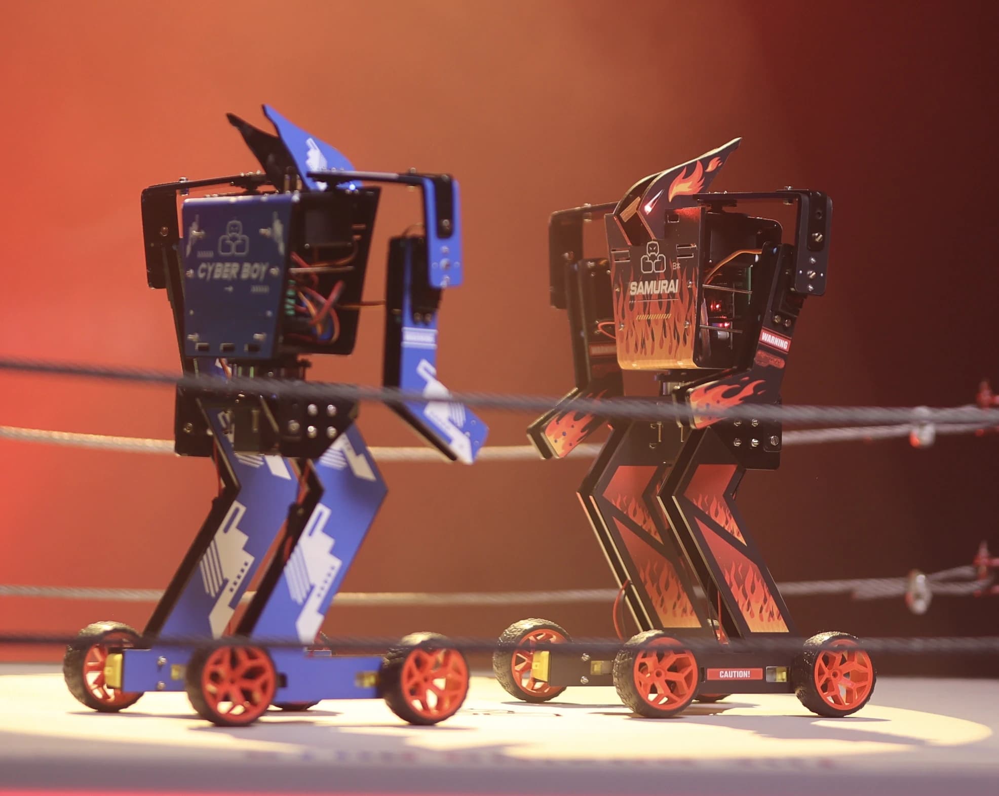 Two boxing robots face off in the ring