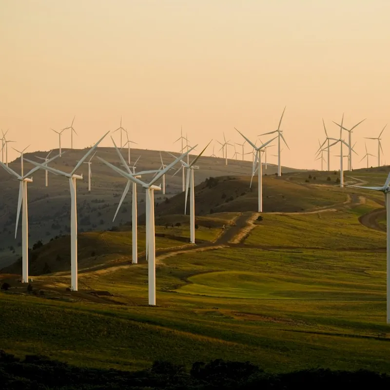 Sustainability